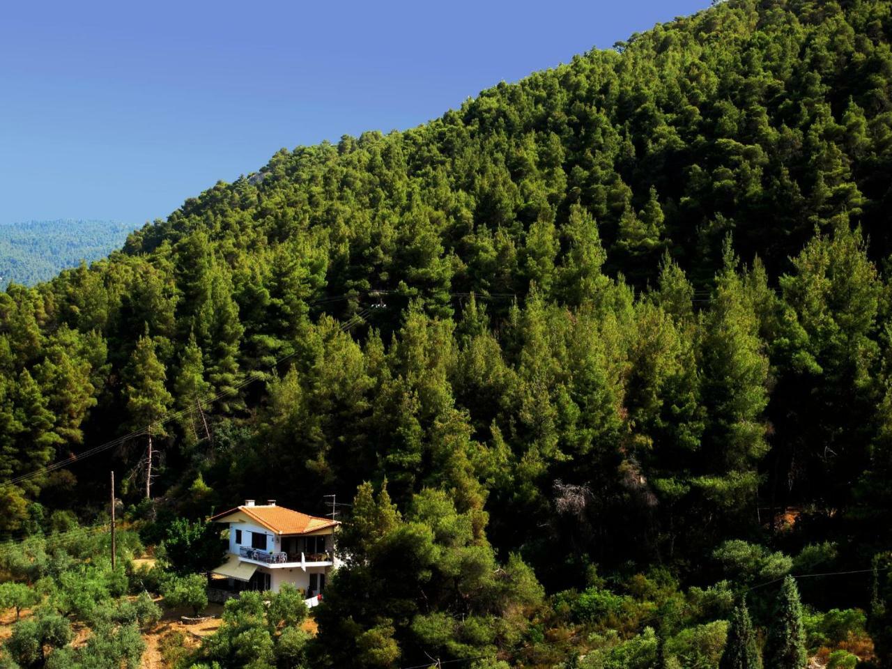 Apartmán Philippos 2 Diaporos Exteriér fotografie